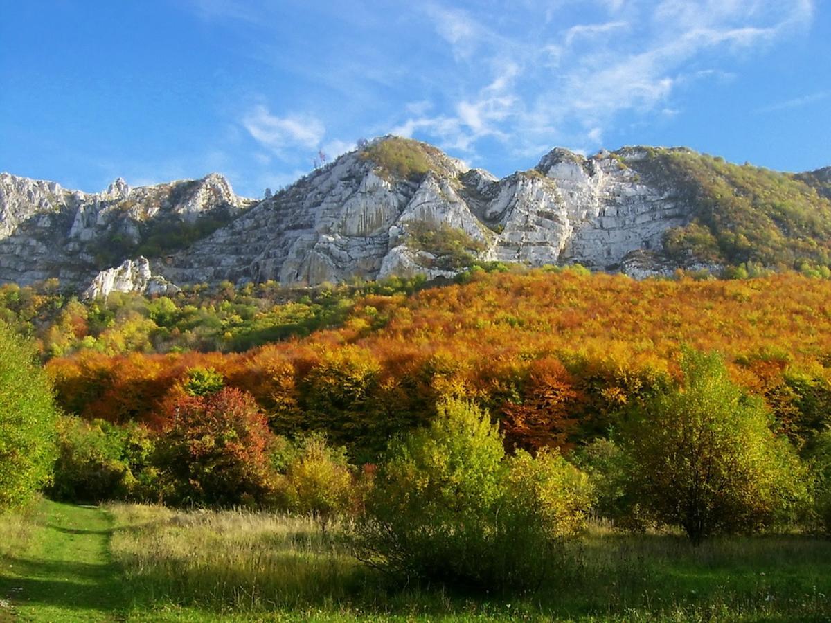 Belko Panzio Bed and Breakfast Belapatfalva Εξωτερικό φωτογραφία